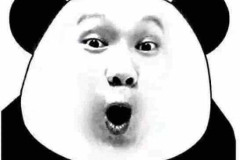 31b107047851348d24c57412797625ed