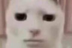 72853487bc85b00963f79773748985ea